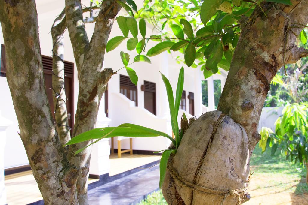 מיריסה Garden Inn מראה חיצוני תמונה